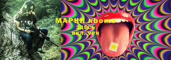 прущие грибы Армянск